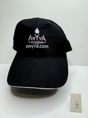 AwyvA CAP B .jpg