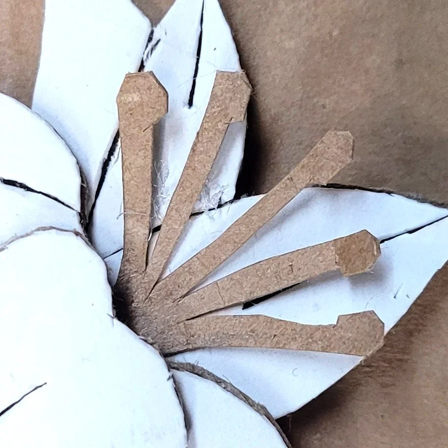 Hummingbird LS.1.jpg