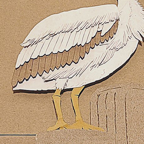 Pelican 3.jpg