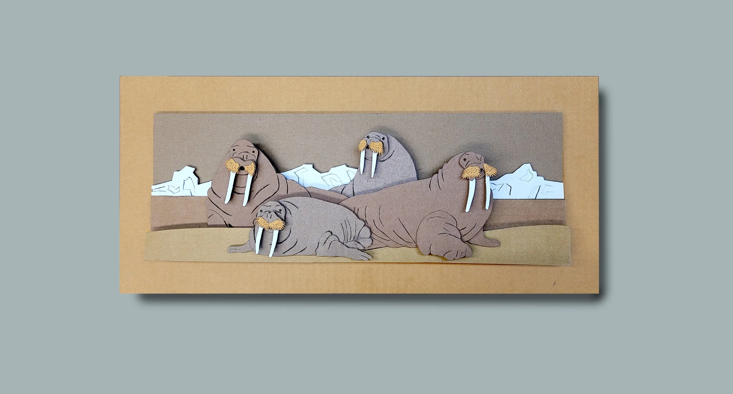 walruses