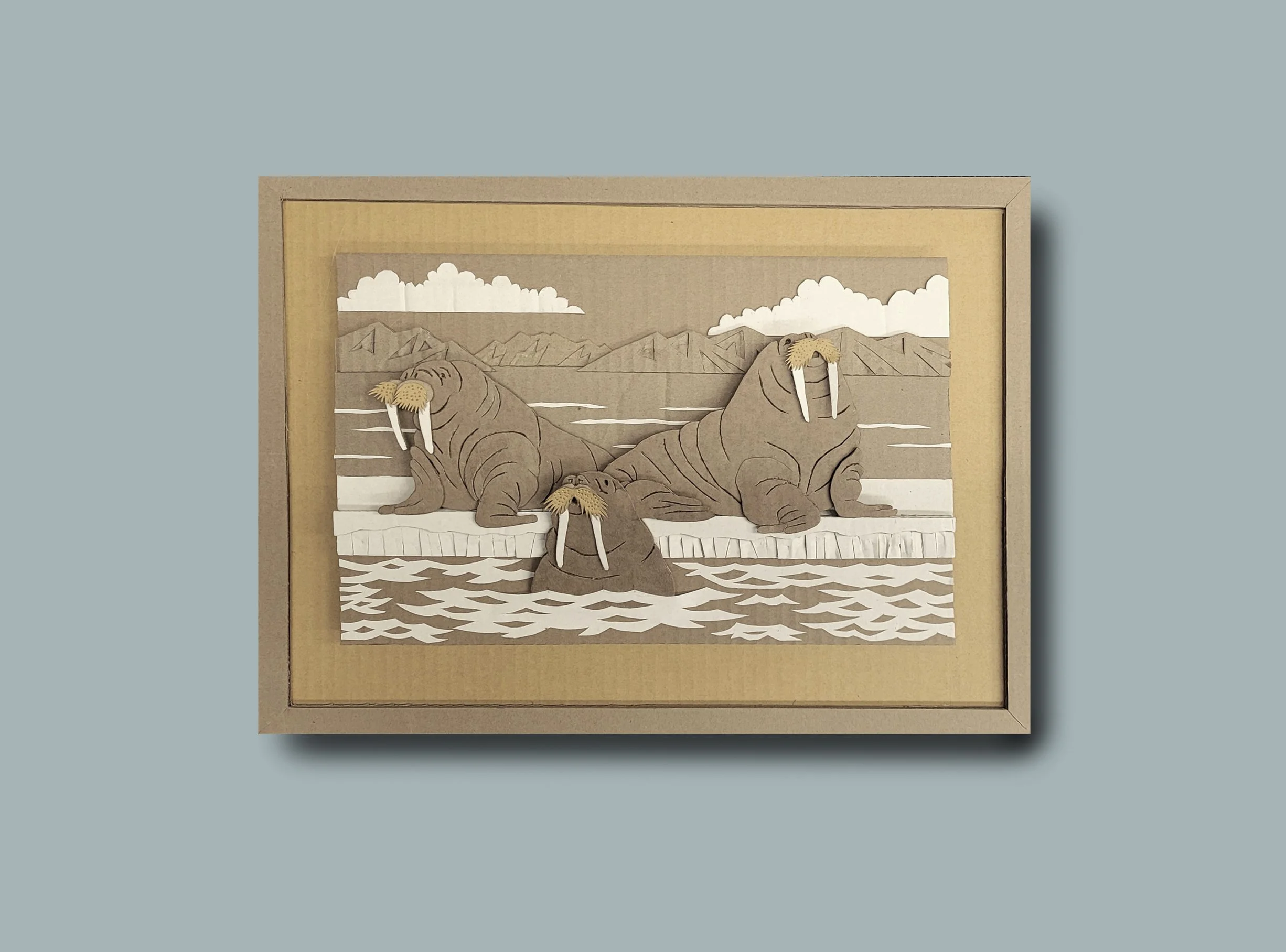 walruses-3