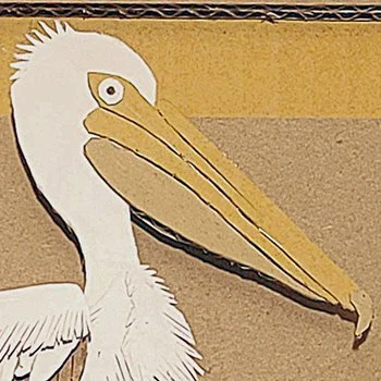 Pelican 1.jpg