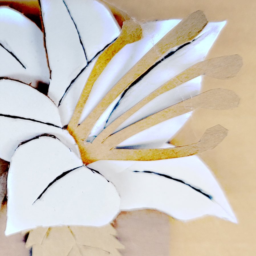 Hummingbird RS.1.jpg