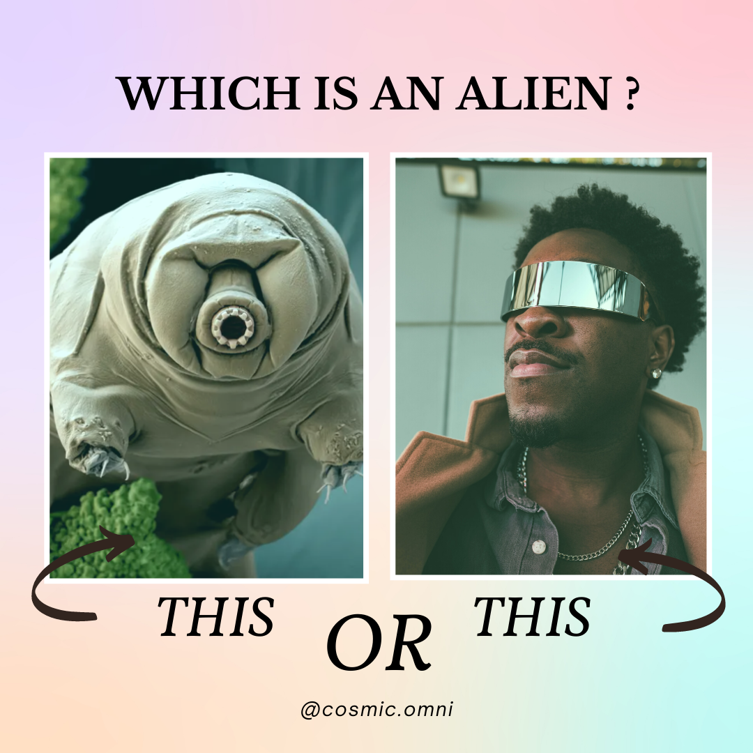 3 Alien-ish Creatures on Earth 👽