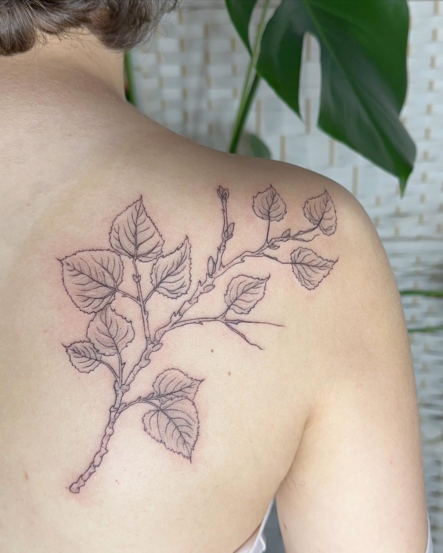 A delicate Aspen branch for Aspen&rsquo;s first tattoo back in October - thank you! 🌿✨🖤
________________________________
#aspen #tattoo #branchtattoo #botanicaltattoo #firsttattoos #blackline #naturetattoos #qttr #pdxart #pdxartist #portlandart #po