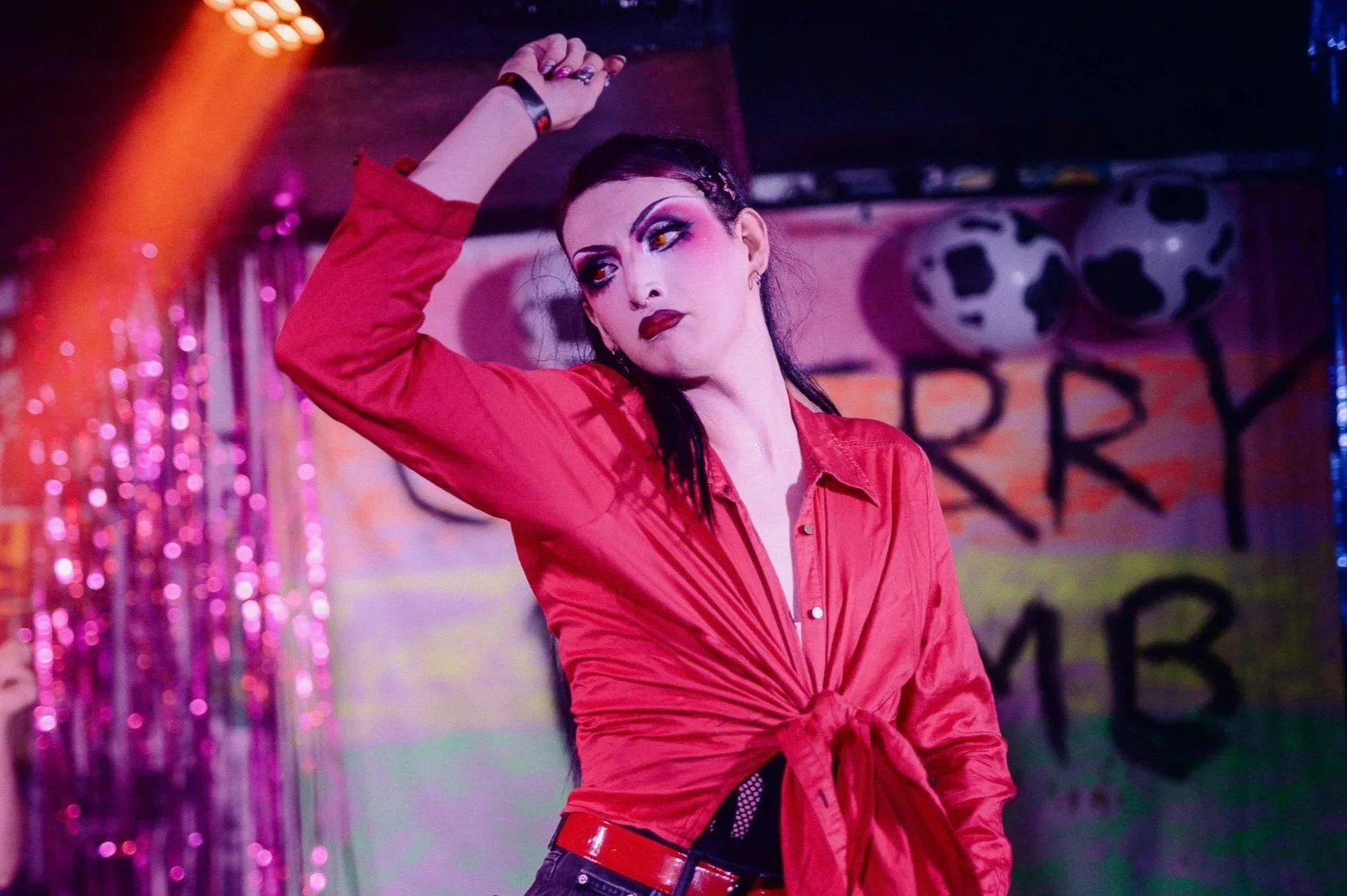 🐴 FEBRUARY: KITTEN PROPER