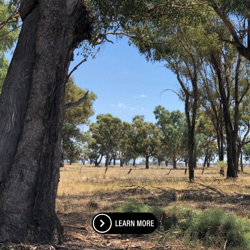 Forbes Shire Council