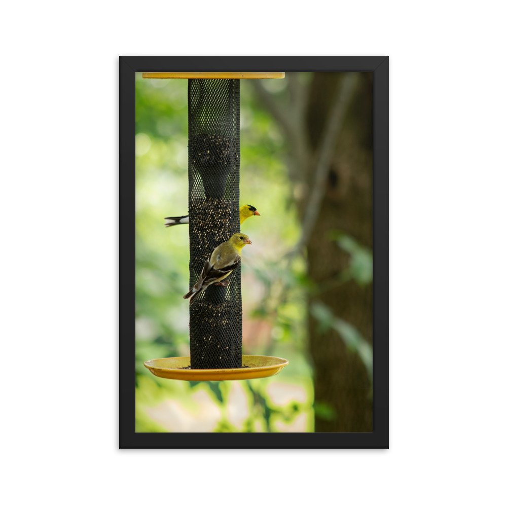 enhanced-matte-paper-framed-poster-(cm)-black-30x45-cm-transparent-670d3cdb92104.jpg