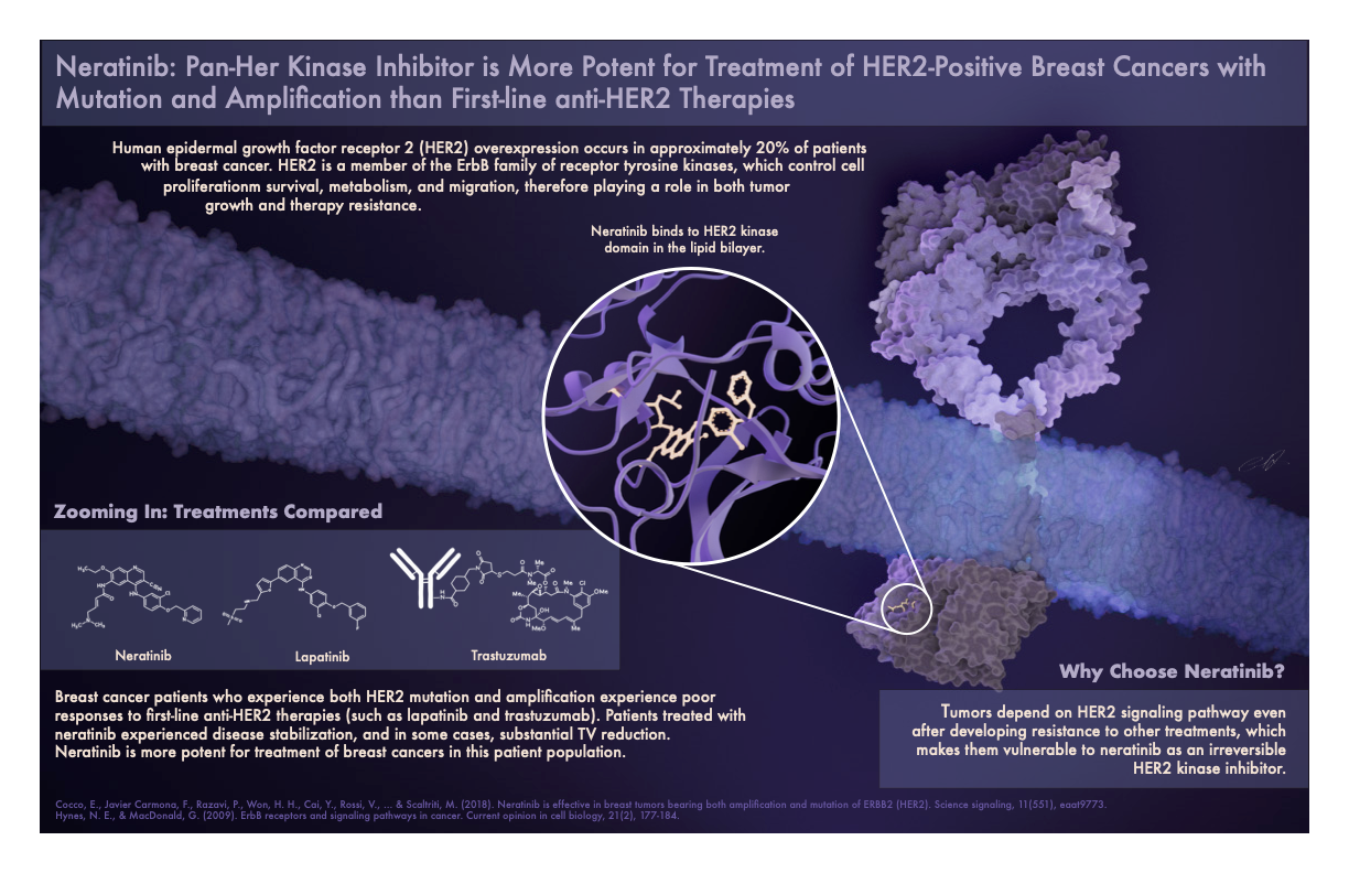 BVIS560_JohnsonC_A3Revised_20250506.png