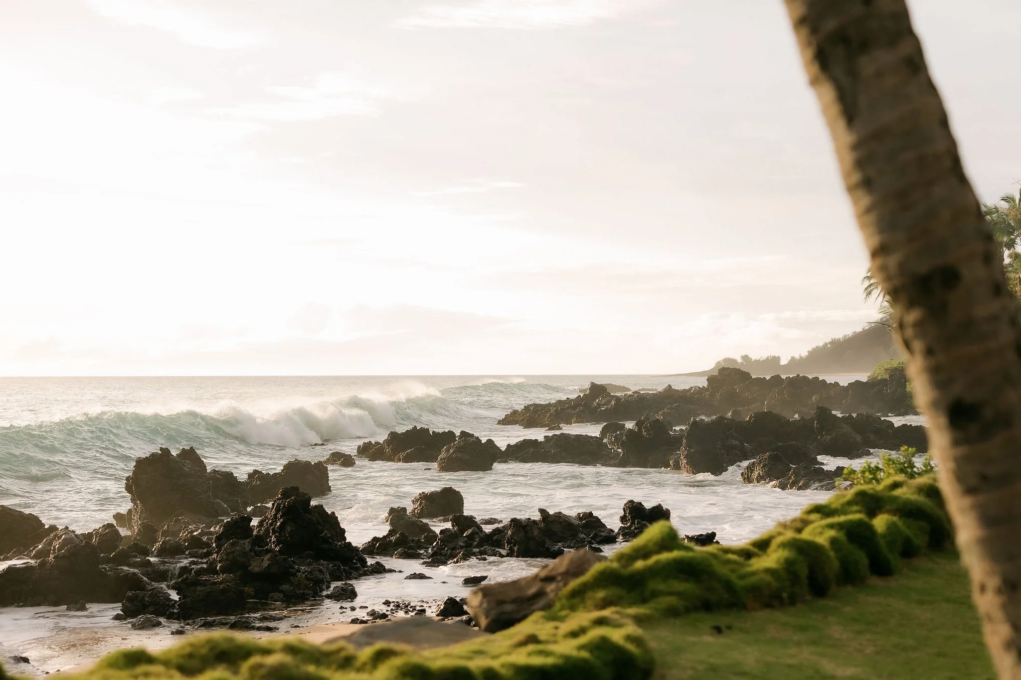 white-orchid-beach-house-ocean-shoreline.jpg