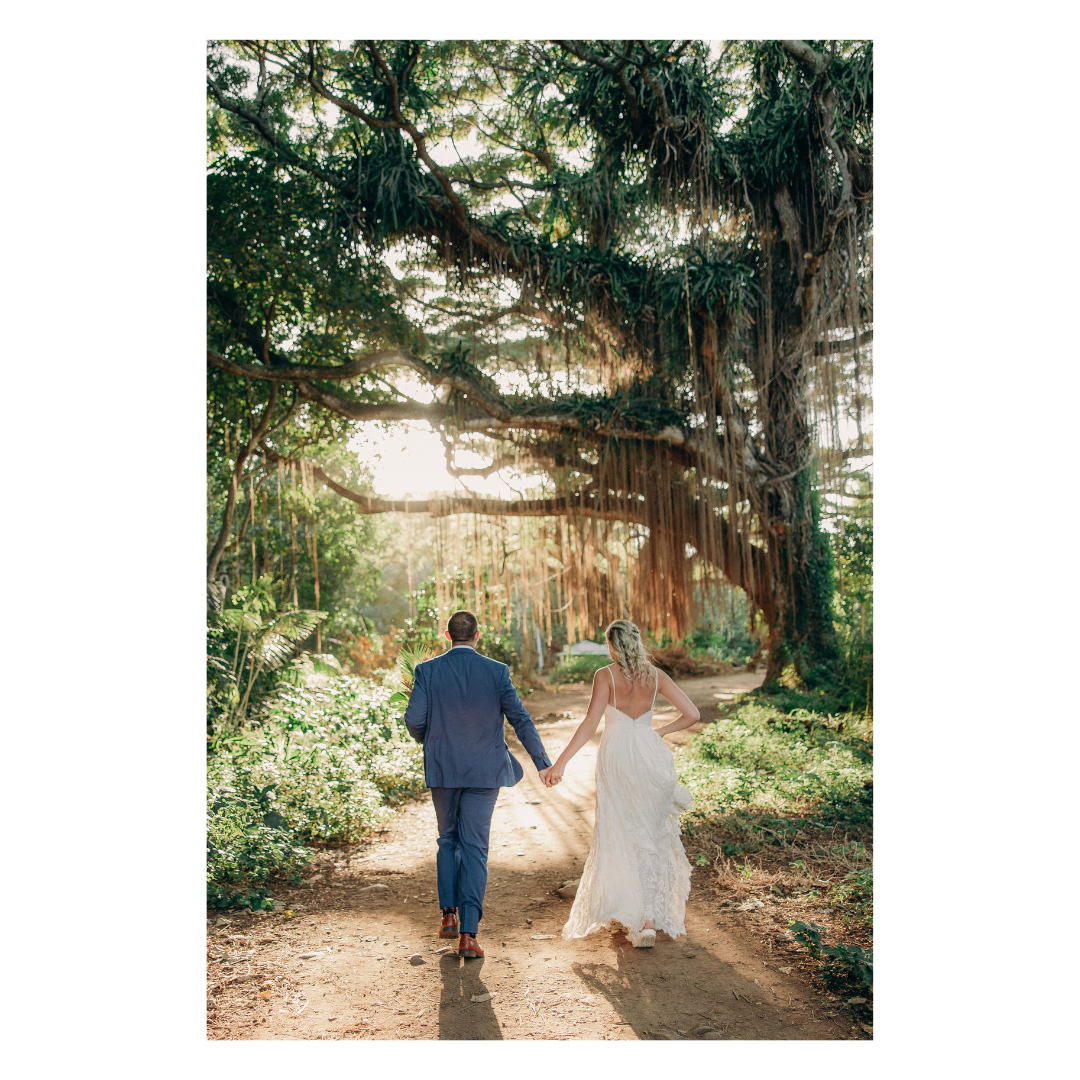 Bride and groom walk hand in hand beneath a large banyan tree in Kapalua, Maui, Hawaii.