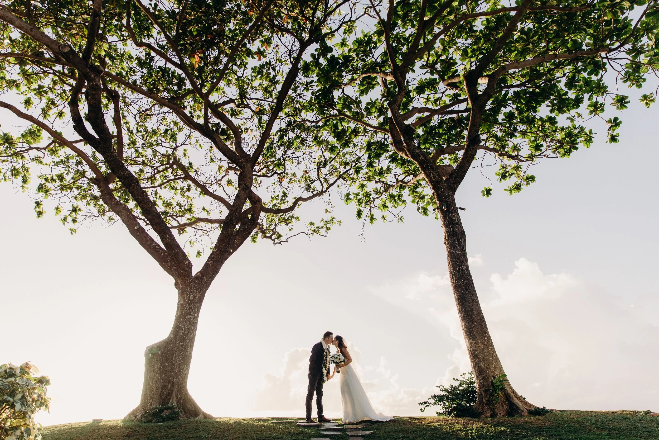 Maui wedding photography of newlyweds standing beneath two large tropical trees, with the bride in a flowing white gown and the groom in a dark suit