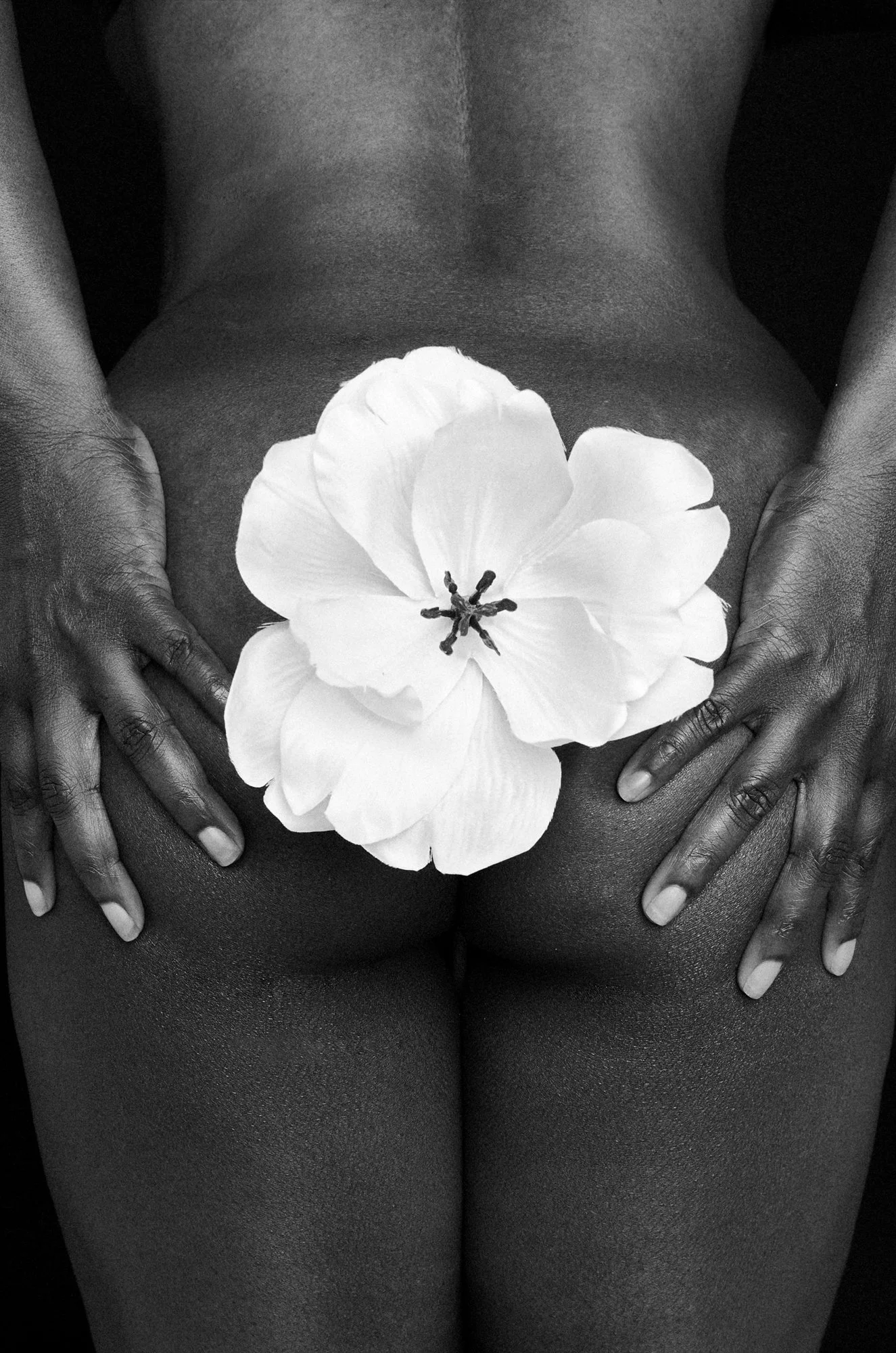 Sabrina & Flower10229_1.jpeg