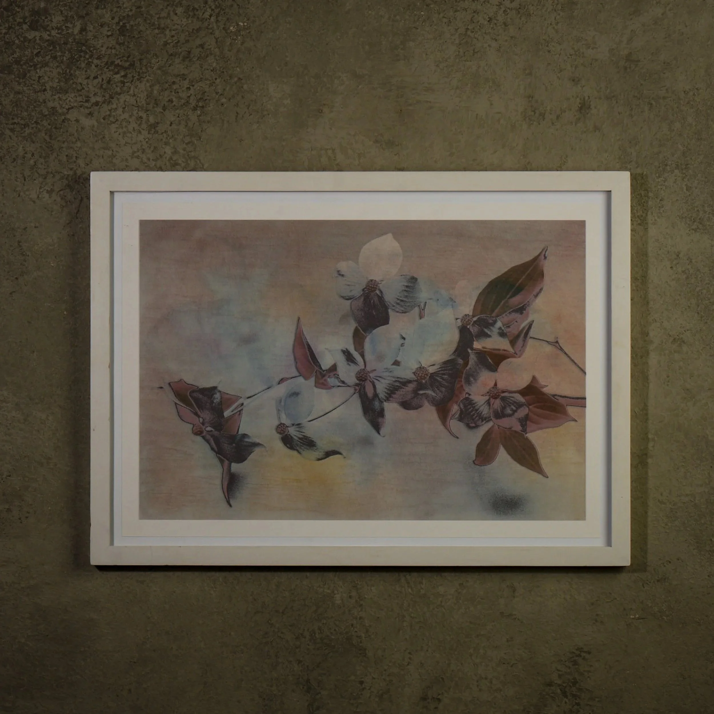 Dogwood #2