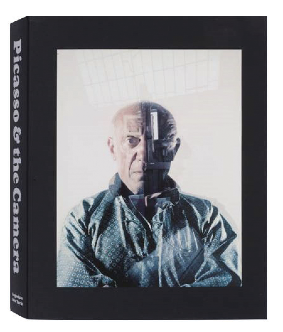 Picasso and the Camera