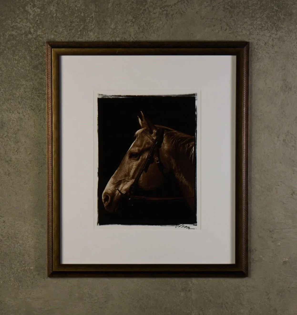 Portrait Horse with Bridal