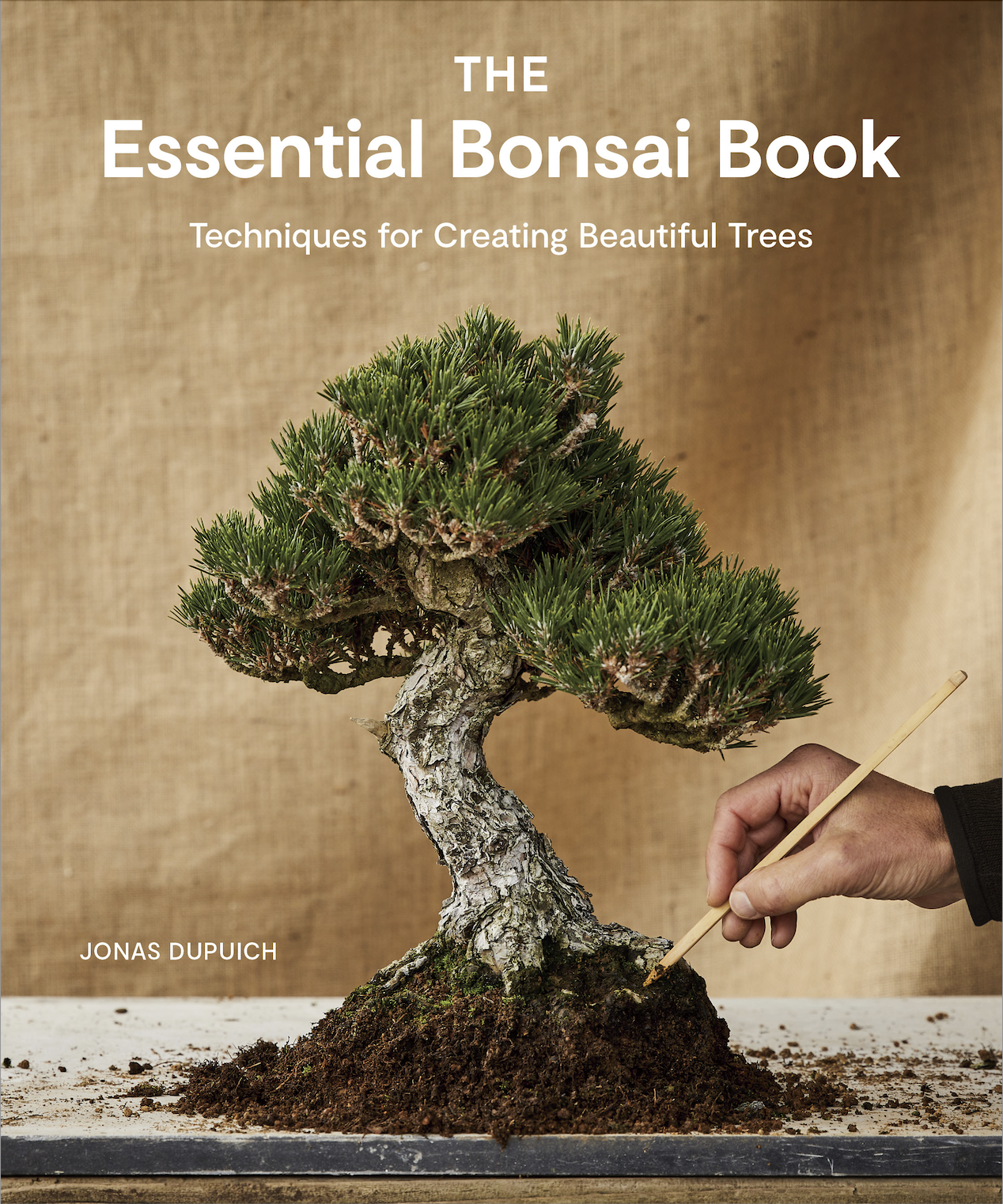 The Essential Bonsai:Book Techniques for Creating Beautiful Trees