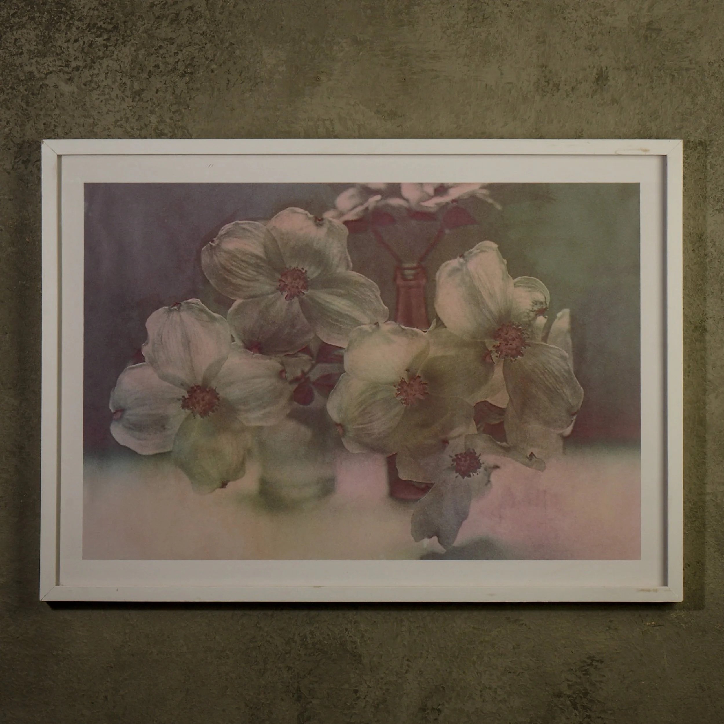 Dogwood No. 1