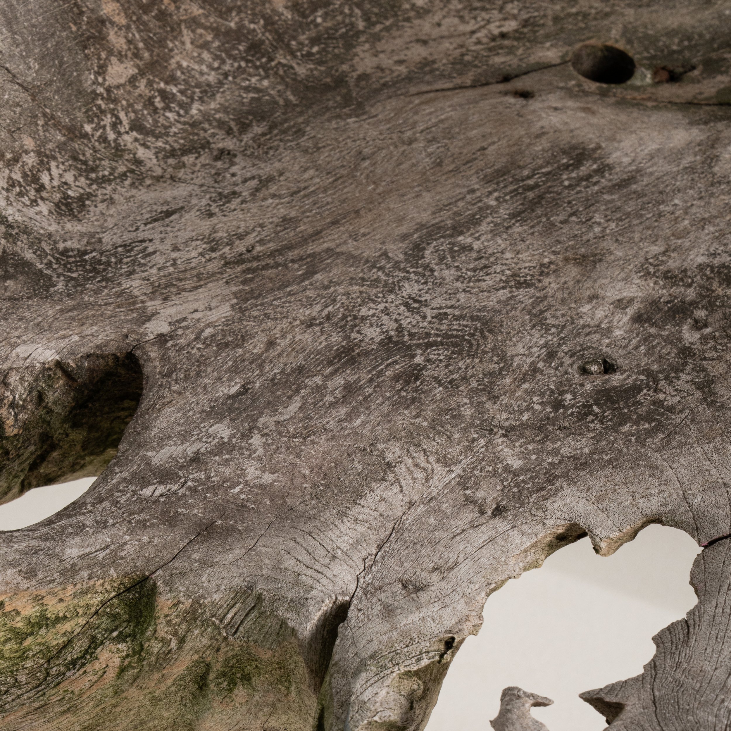 EUA_C3165_01 (13).jpg