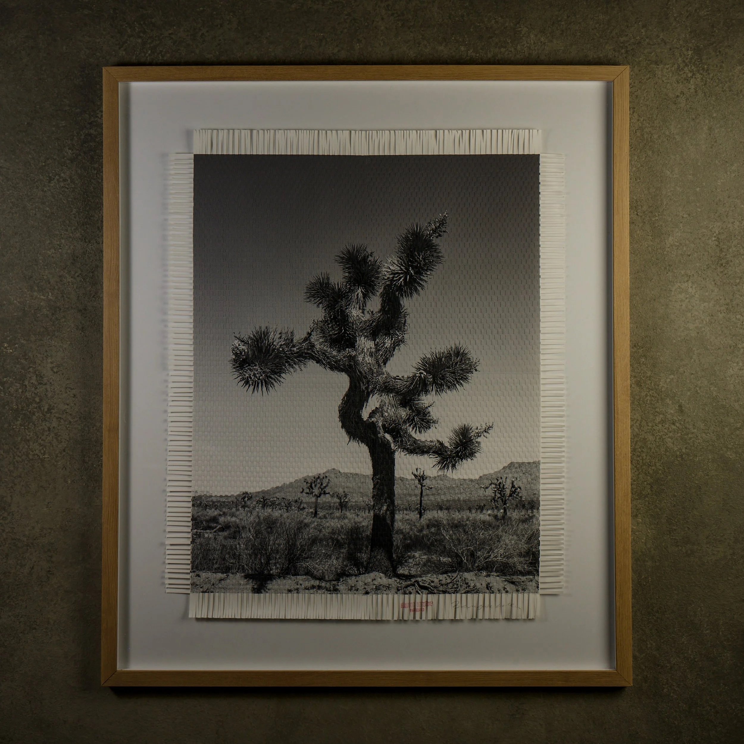 1062_D02_S30_0508_Fernando_Joshua_Tree.jpg