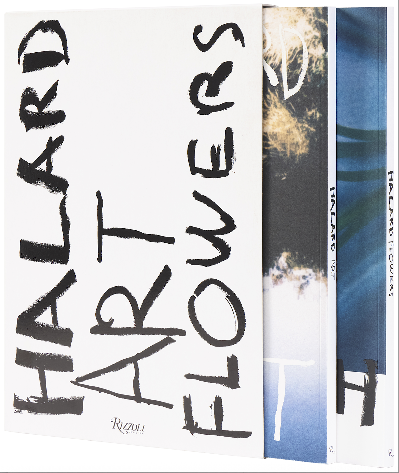 Francois Halard: Art & Flowers