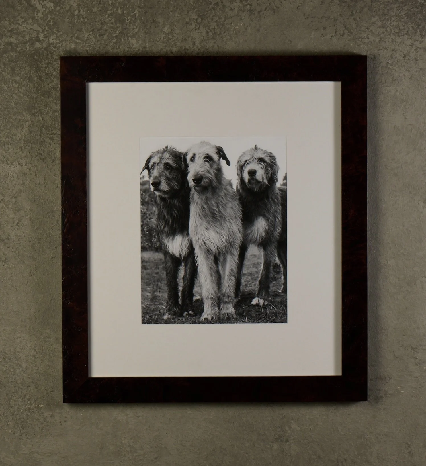 Three Irish Wolfhounds