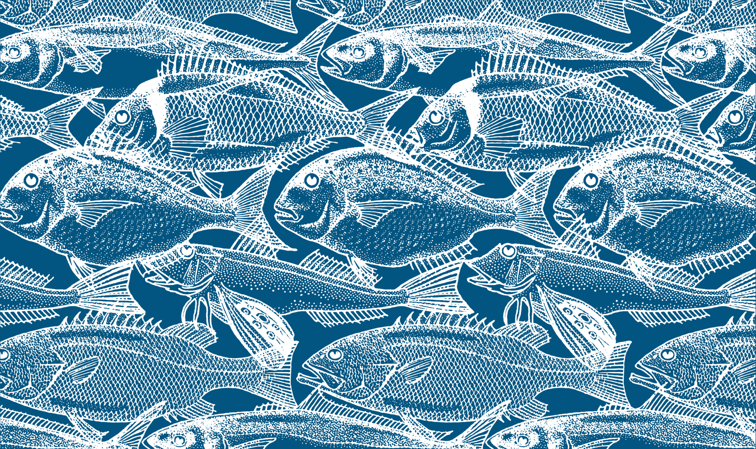 Eastrock Fish Mural Large White -02dwnsize.png