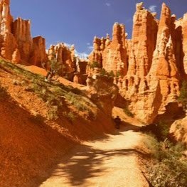 Bryce National Park