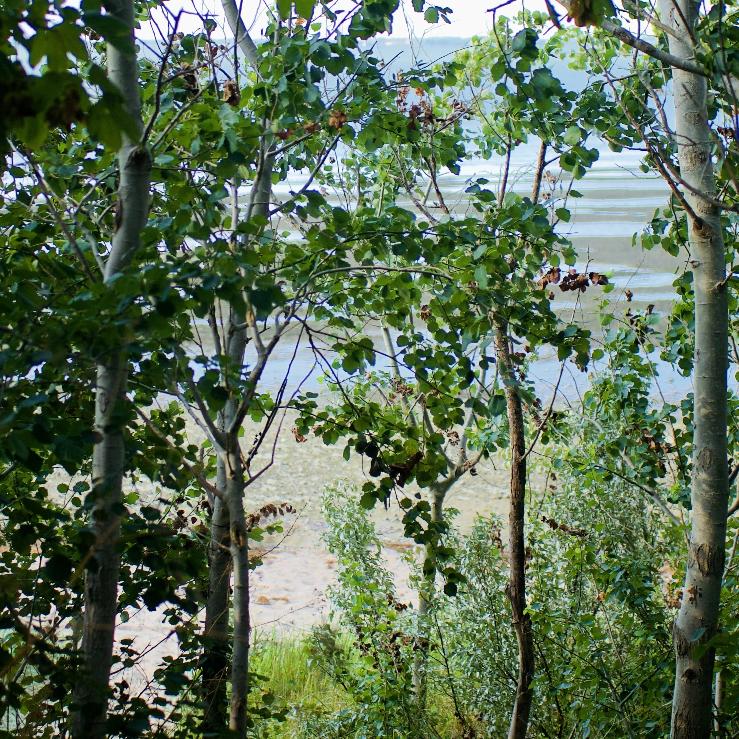 P1150519.jpg