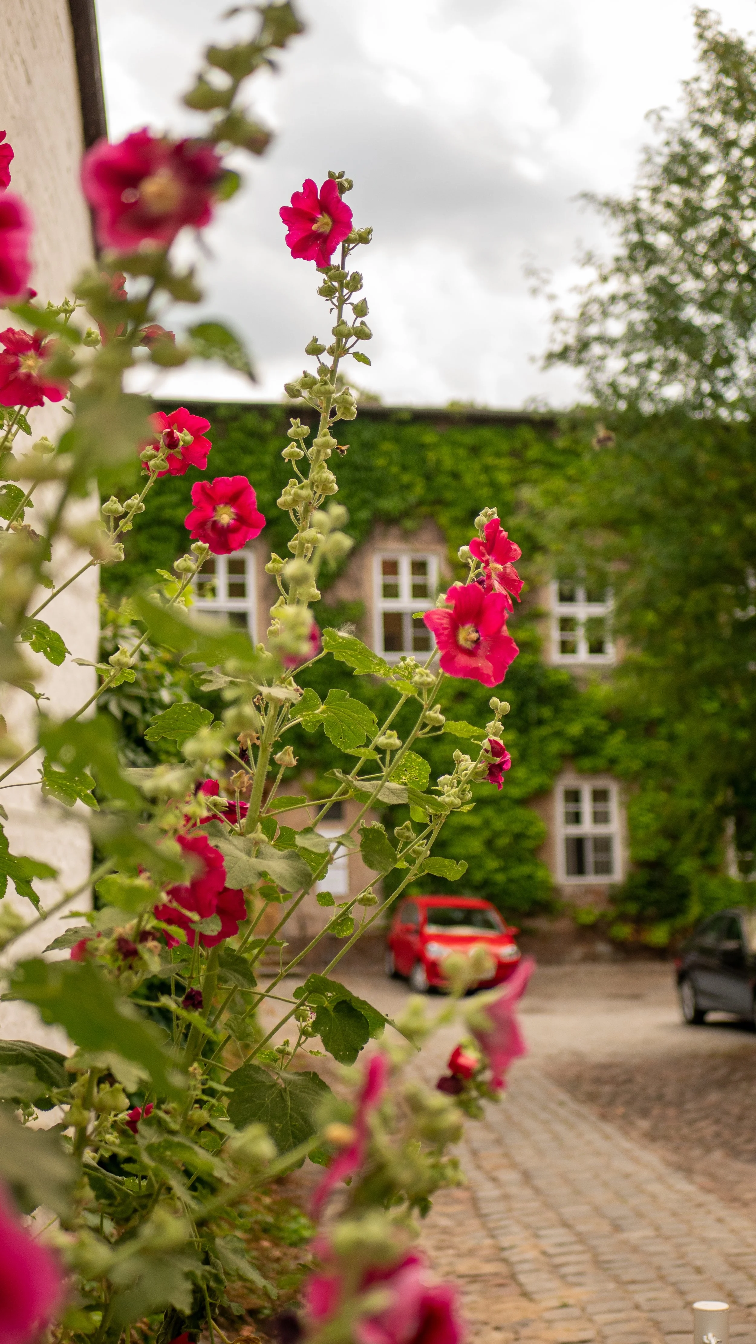 P1150165.JPG