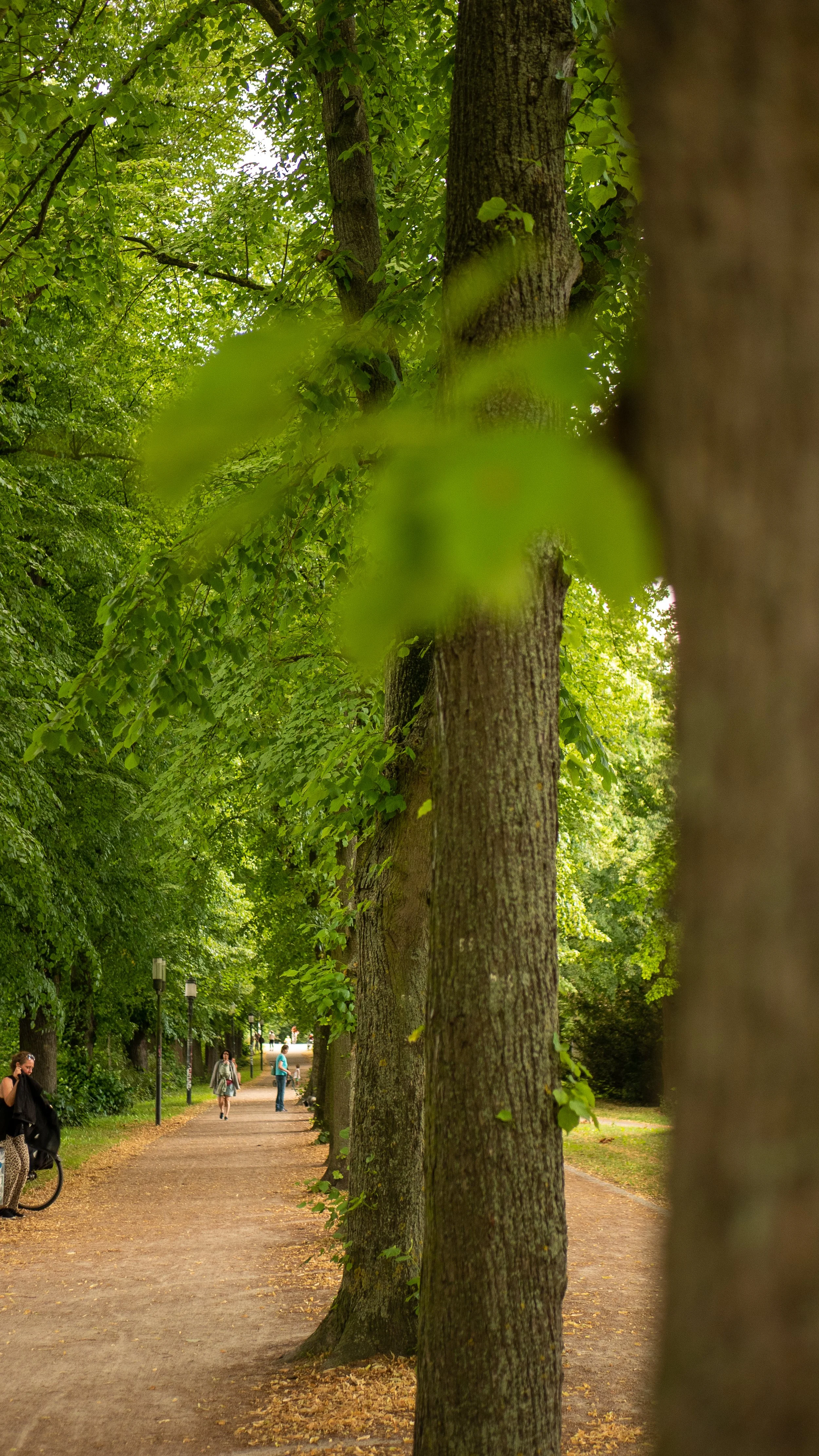 P1150278.JPG