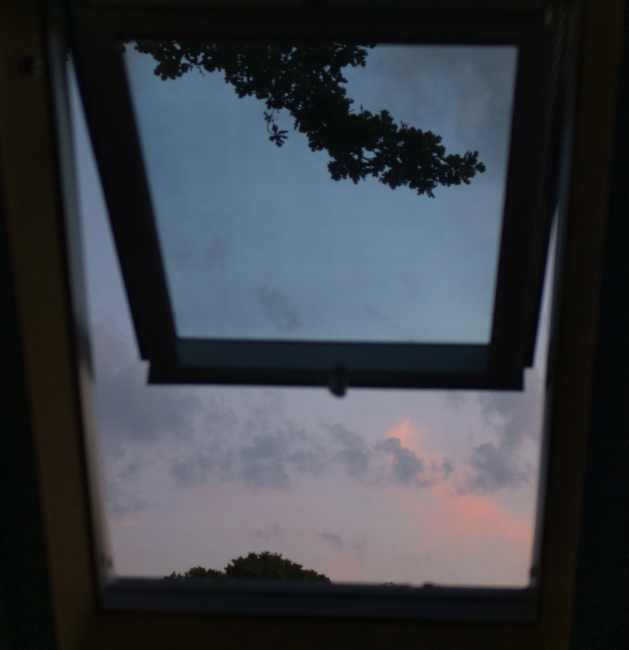 P1150059.jpg