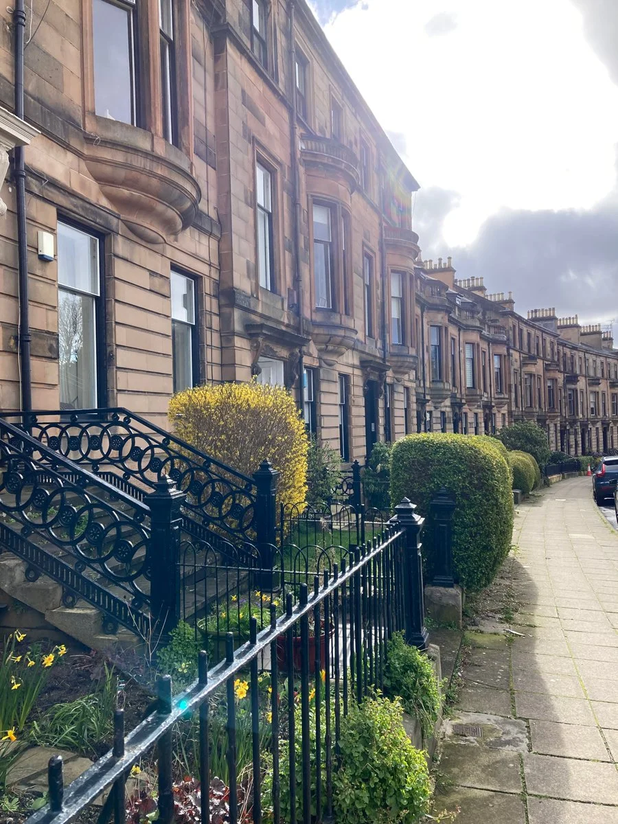 Glasgow street with tenement building and yellow bush in bloom