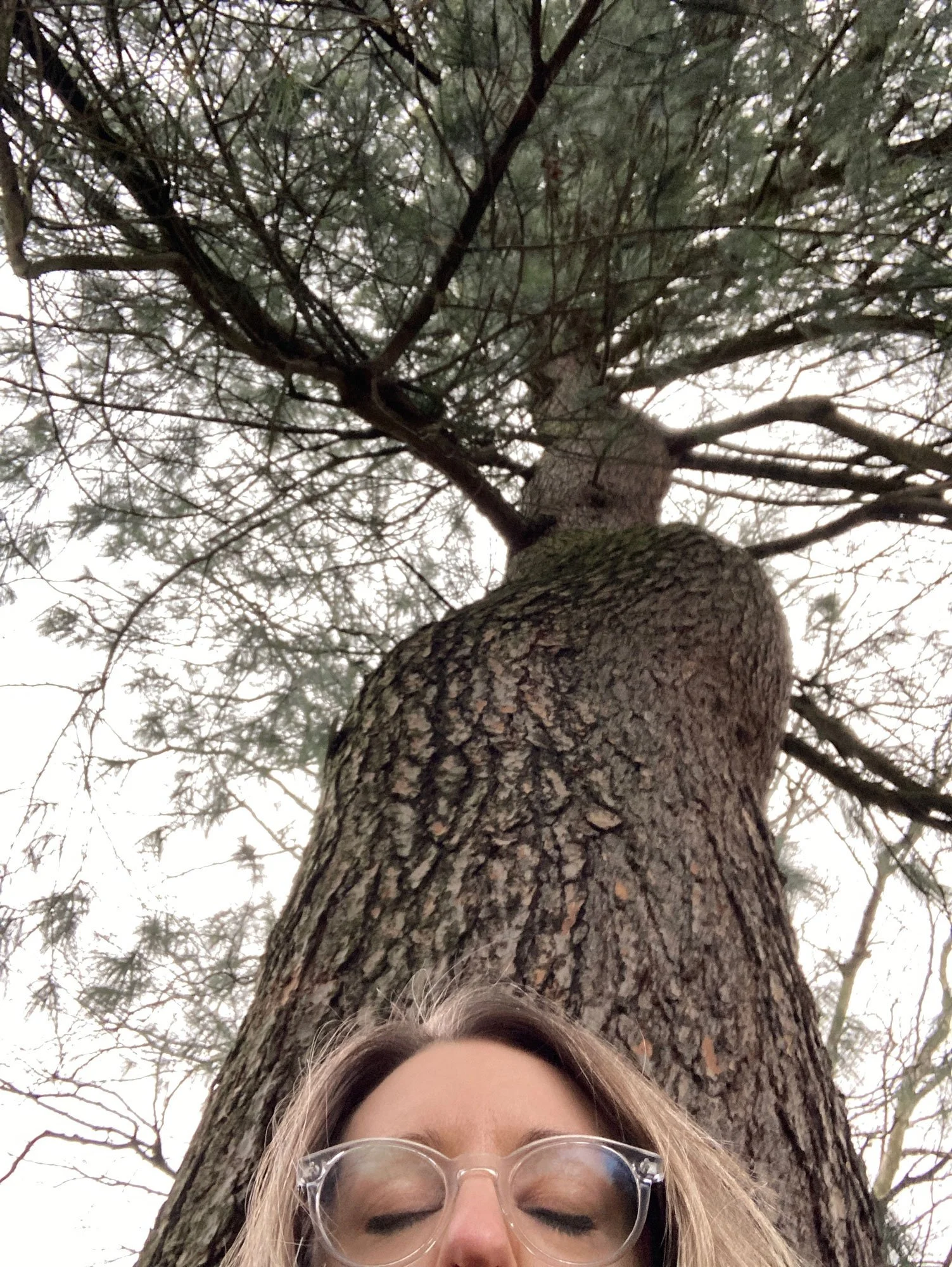 Photo of Yo under a tree