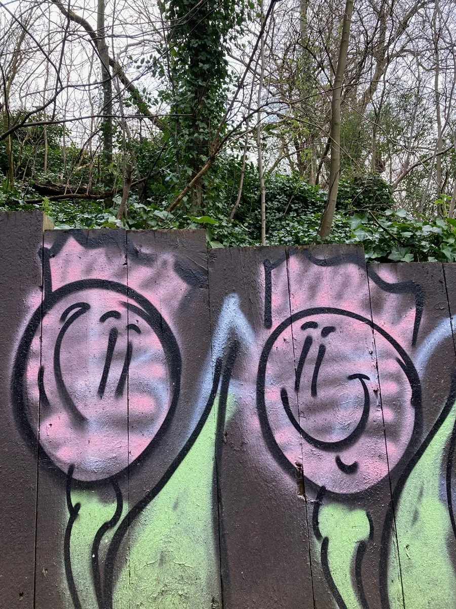 Smiley thistle grafitti park Glasgow