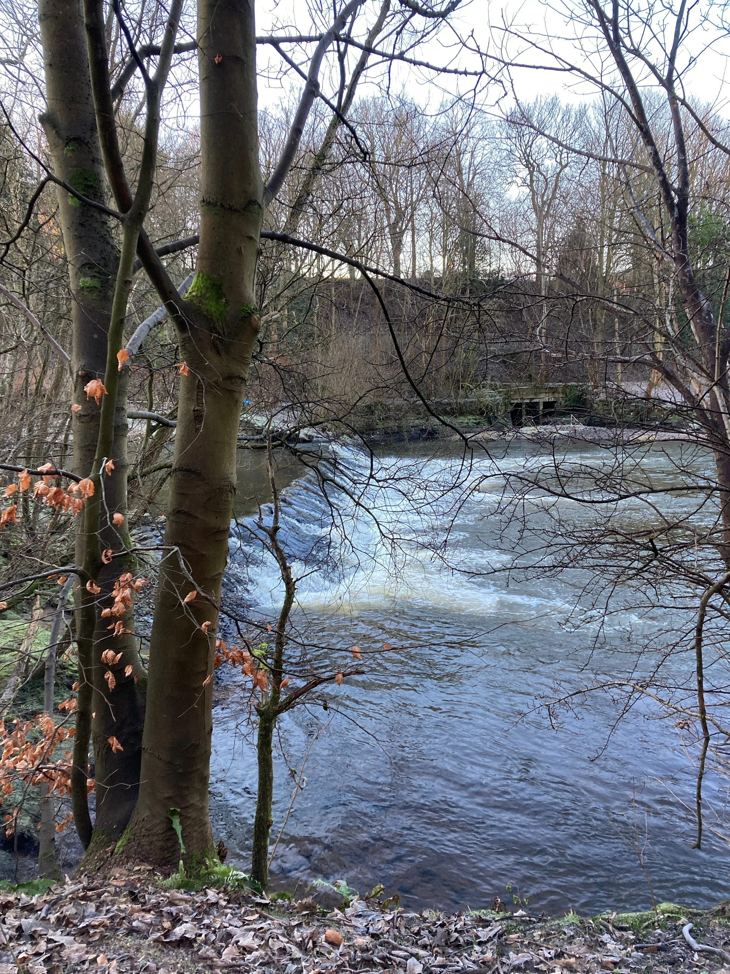 The River Kelvin in Glasgow after heavy rain