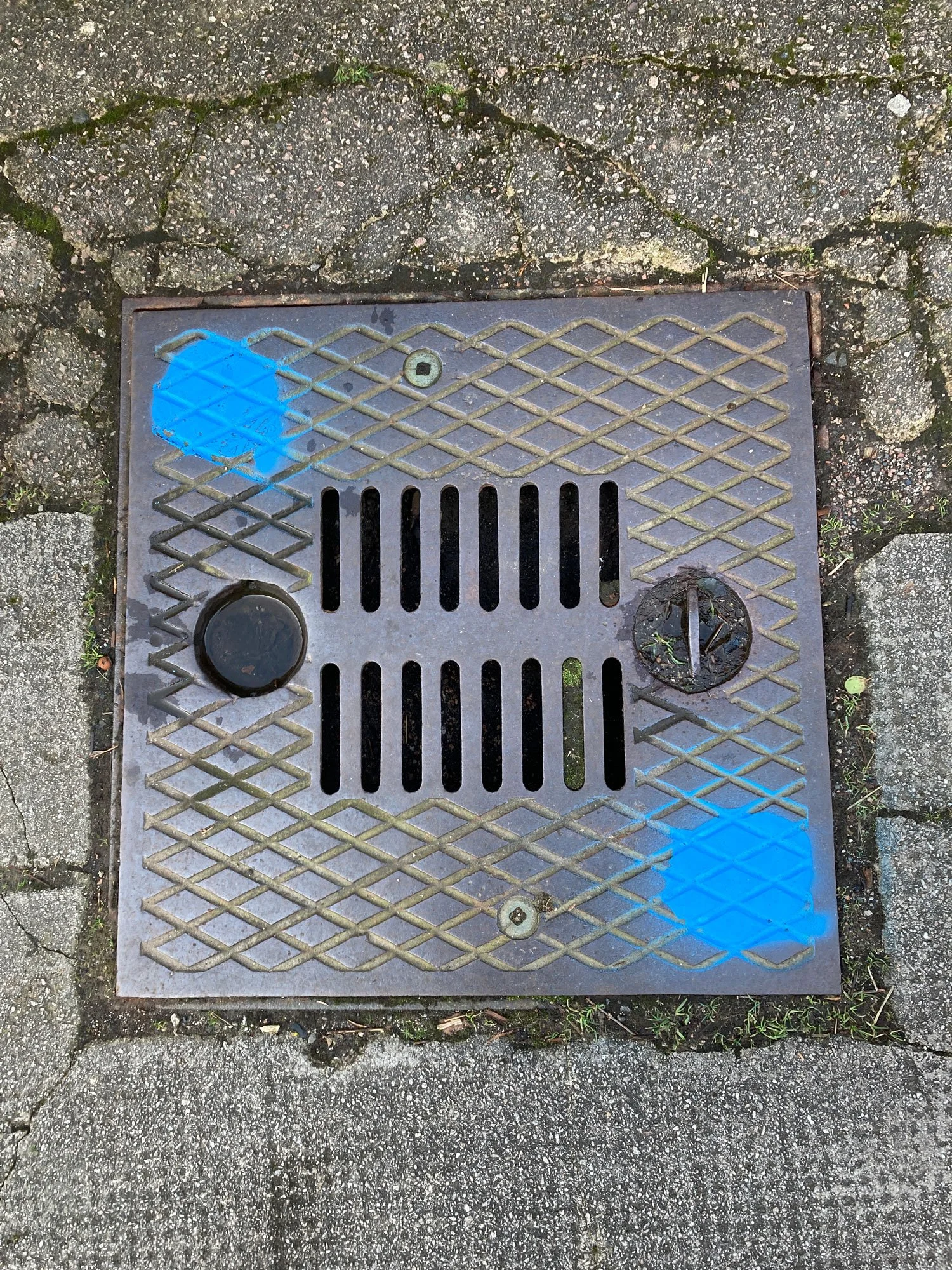 Drain cover with blue spray paint circles