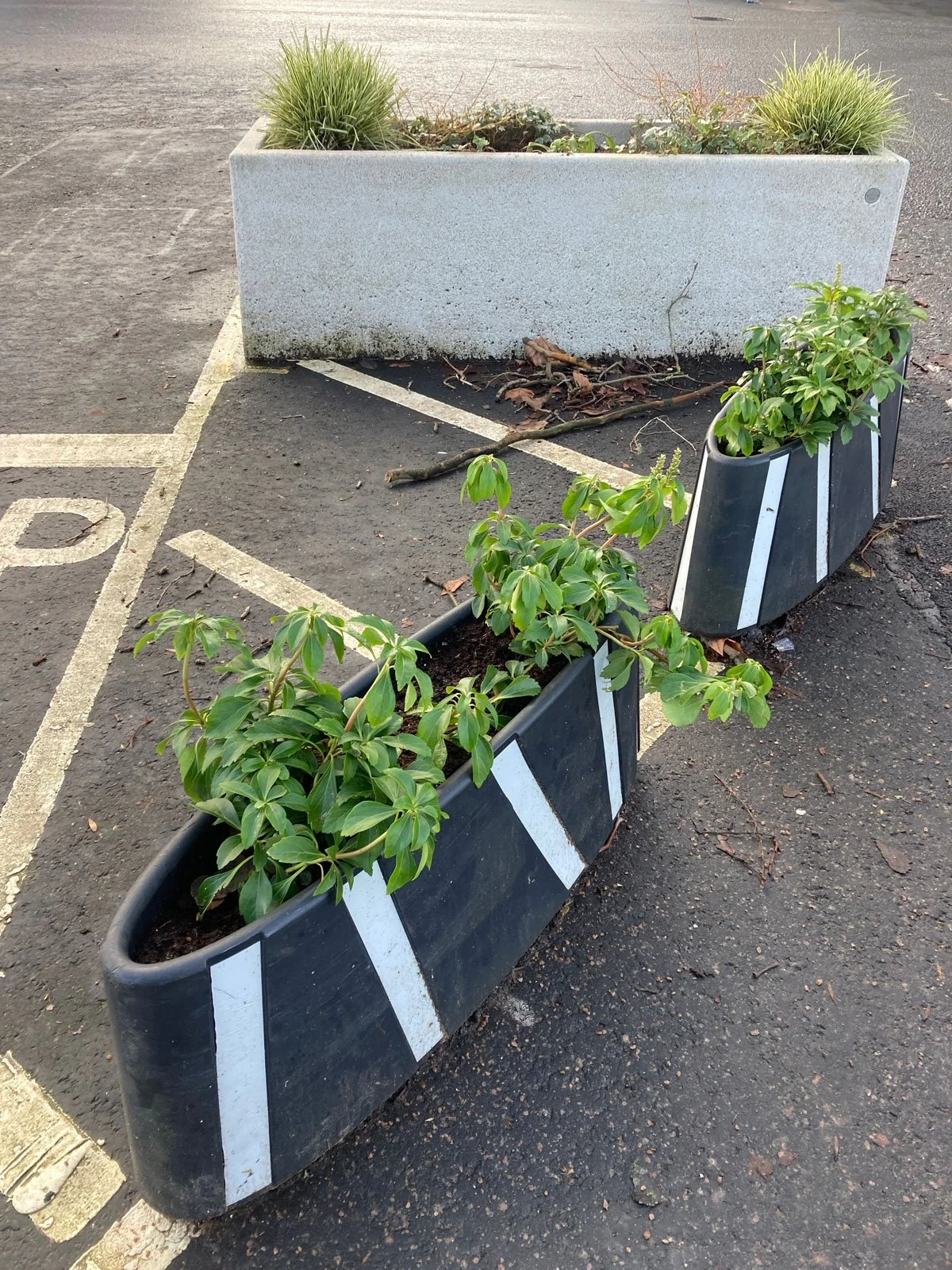 Planters and road markings, geometric lines