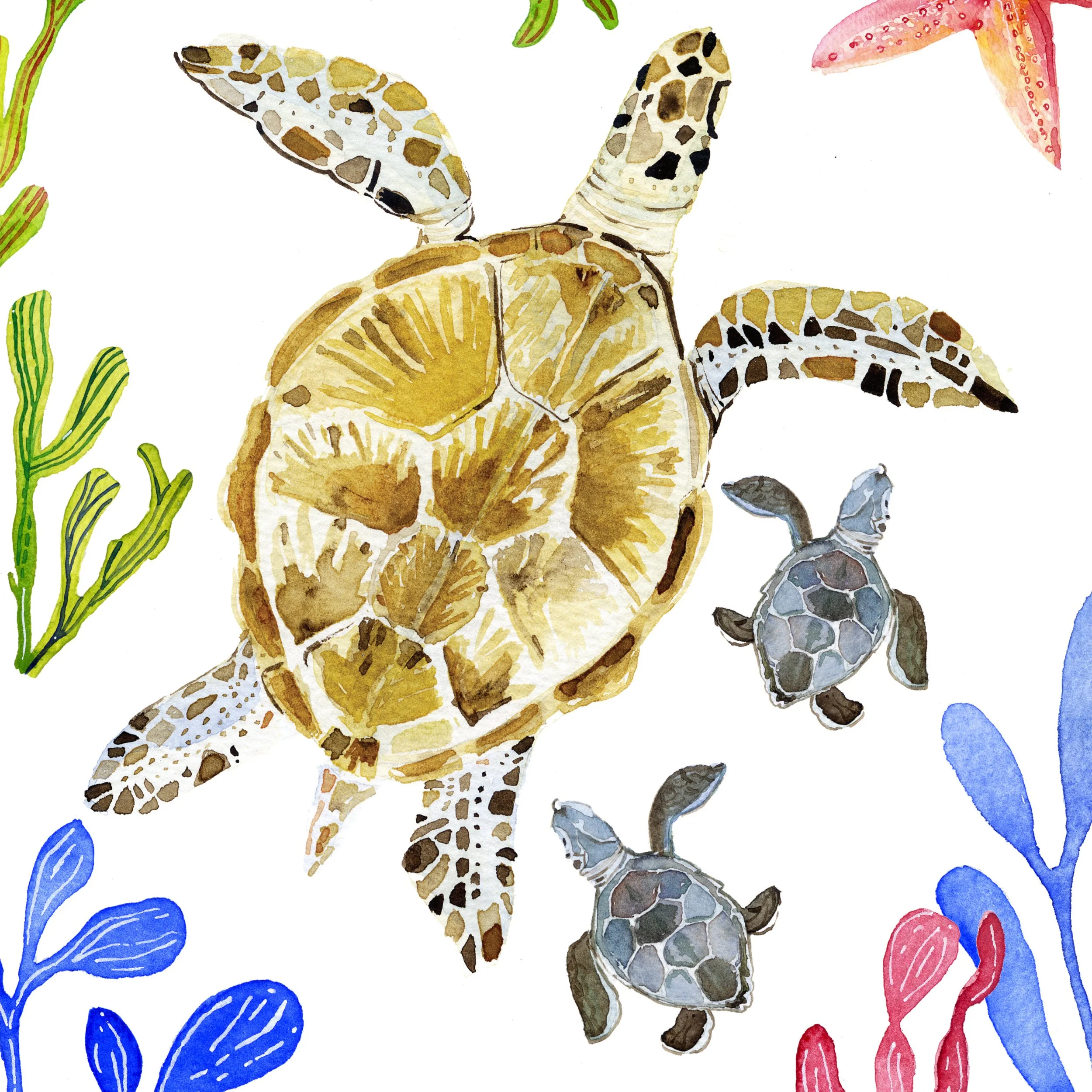 Mamma Turtle