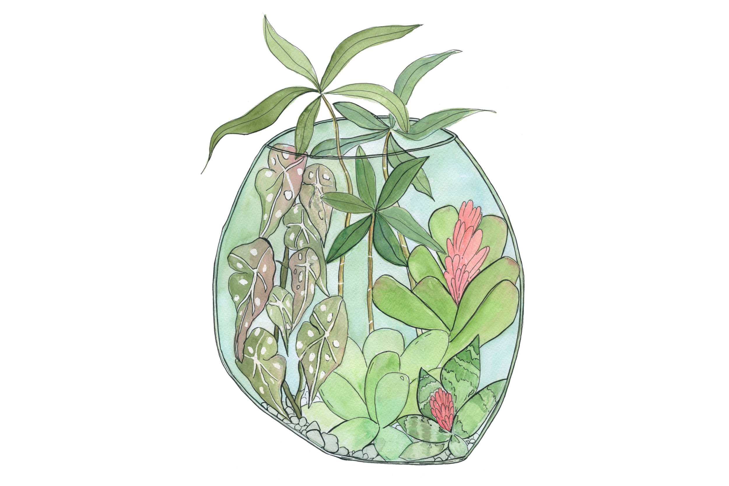 Wonky Terrarium.jpg
