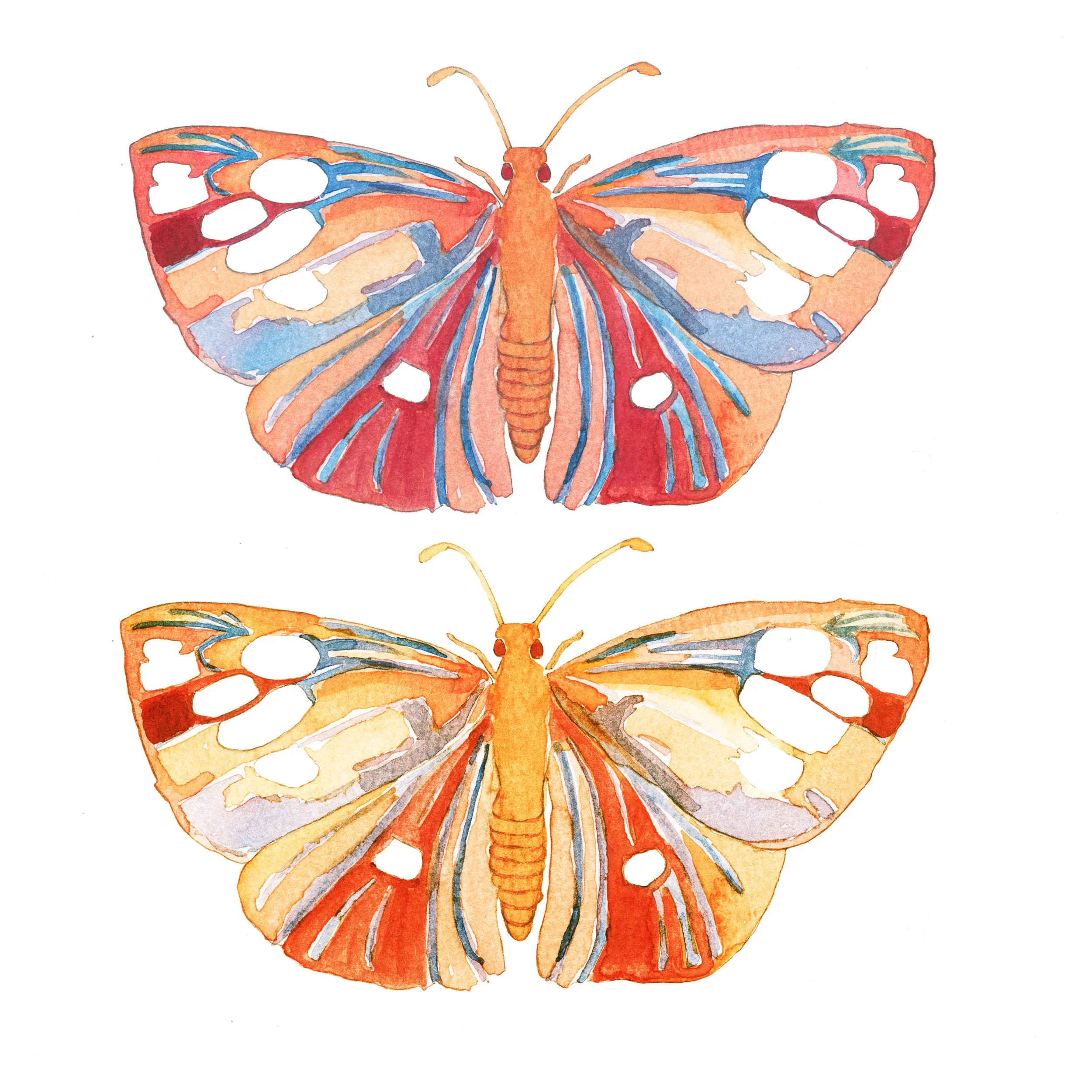 Dainty Flutters