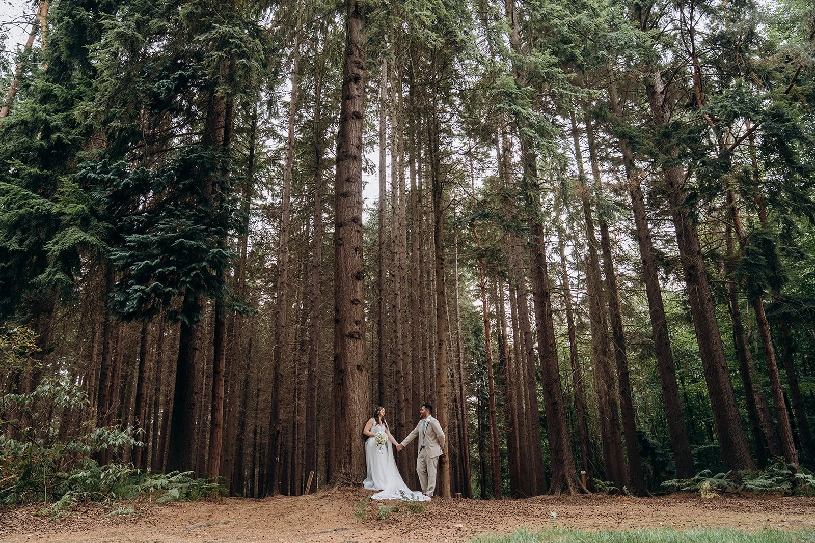 11. EP-333_websize.jpg