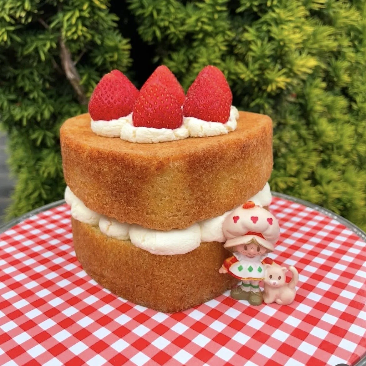 How do I prevent tooth decay?