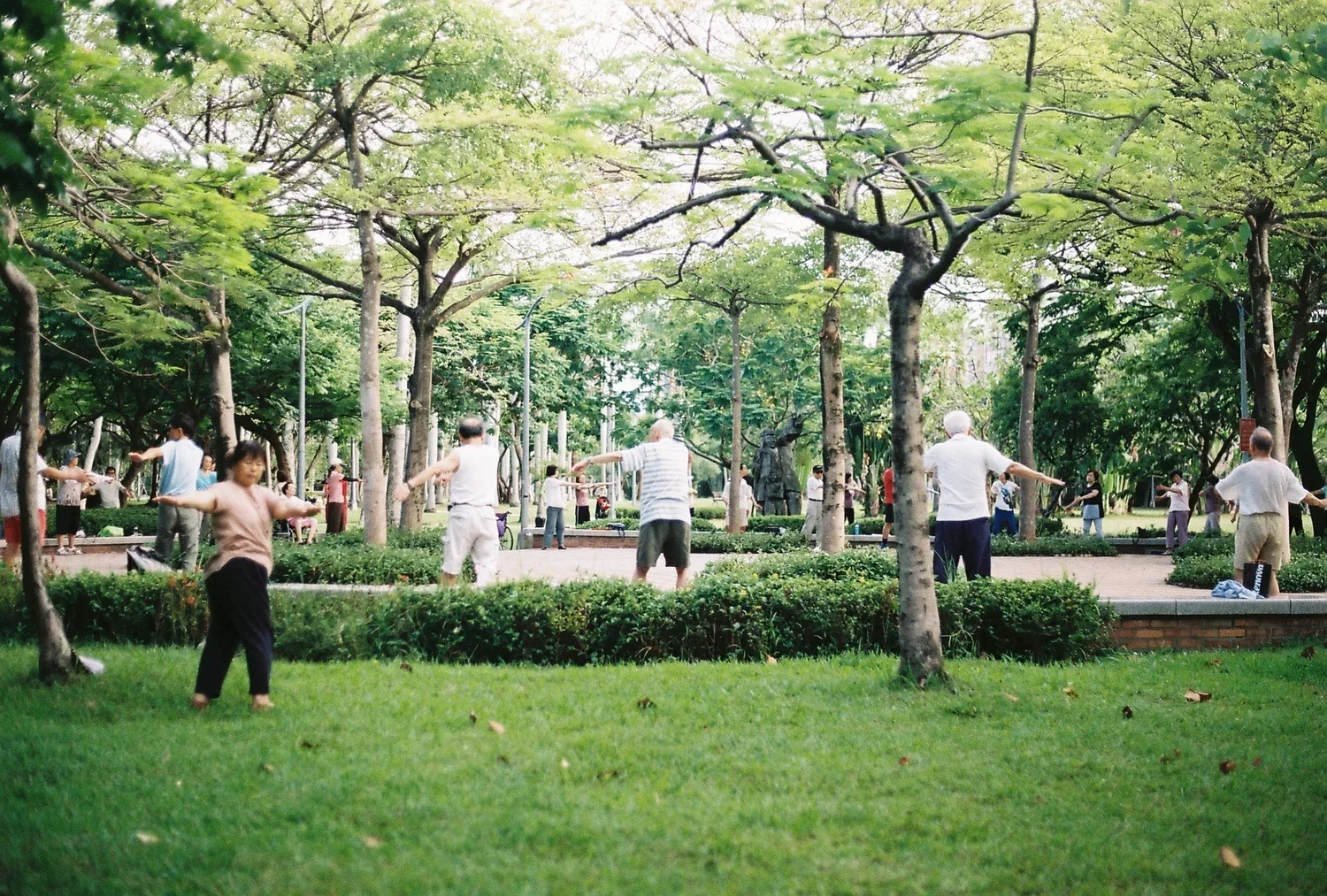 Revelations in a City Park