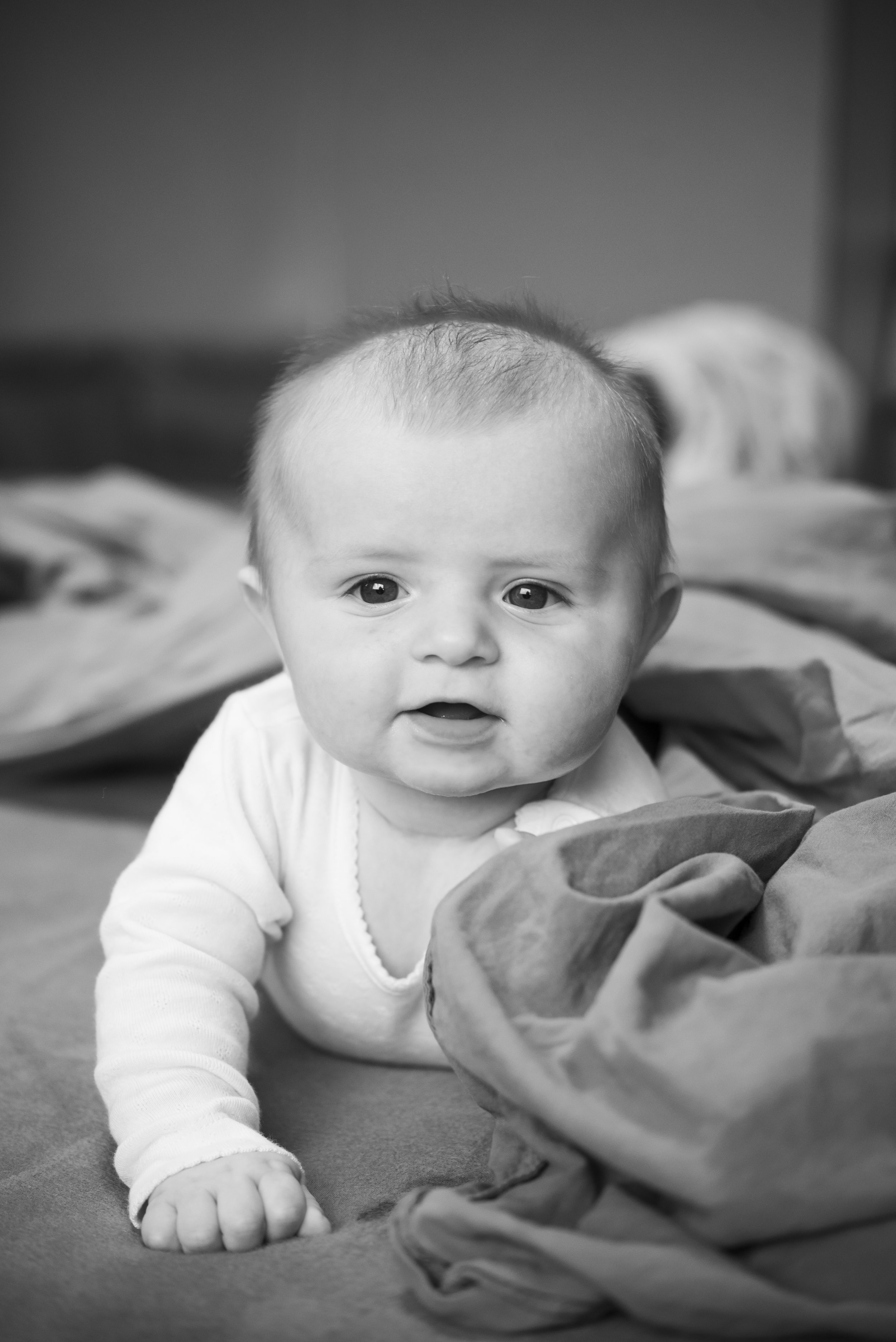 Babybilder, babyfotografering, barnebilder