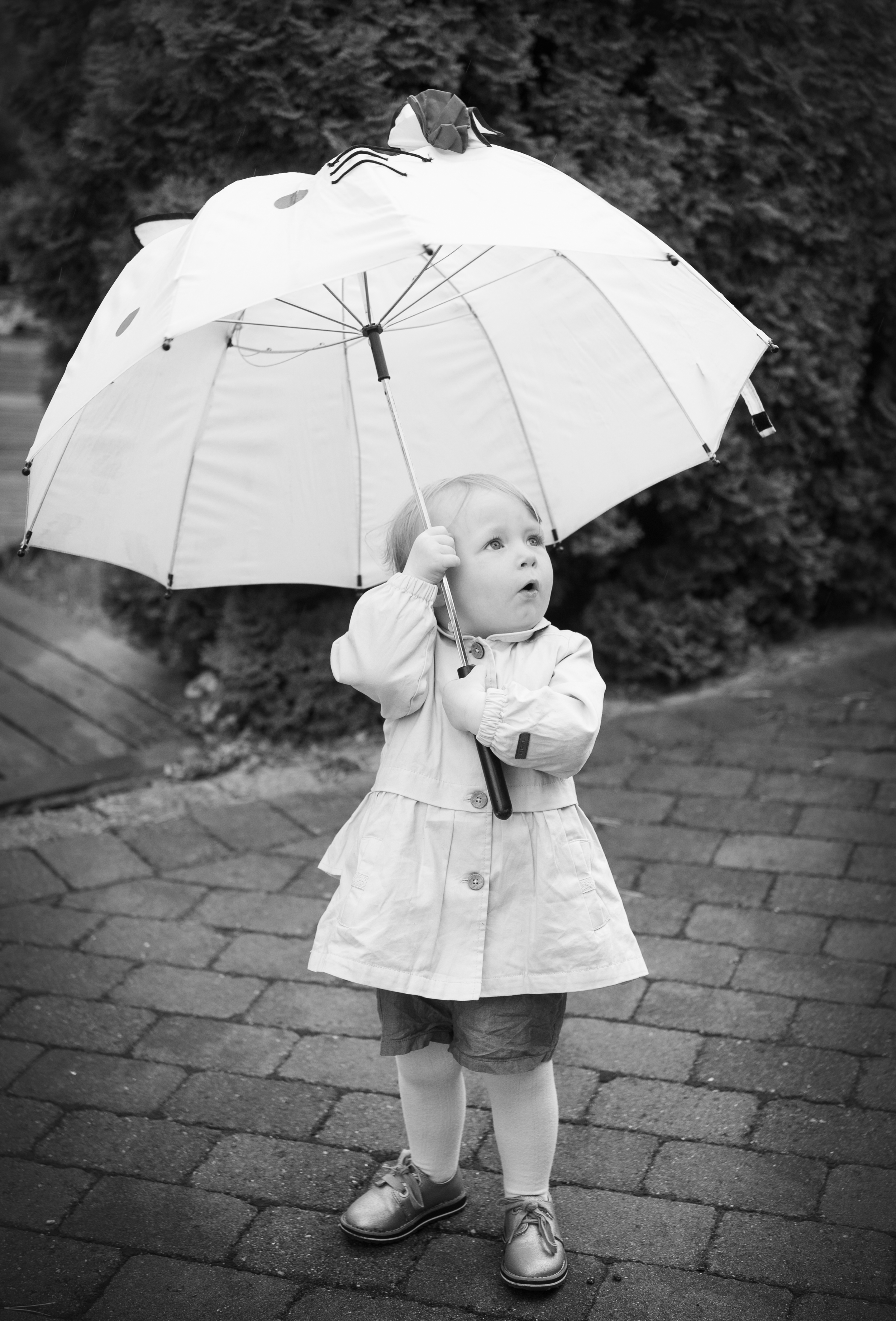 Barnebilder, fotograf,i, portettbilder, barnehagefotograf