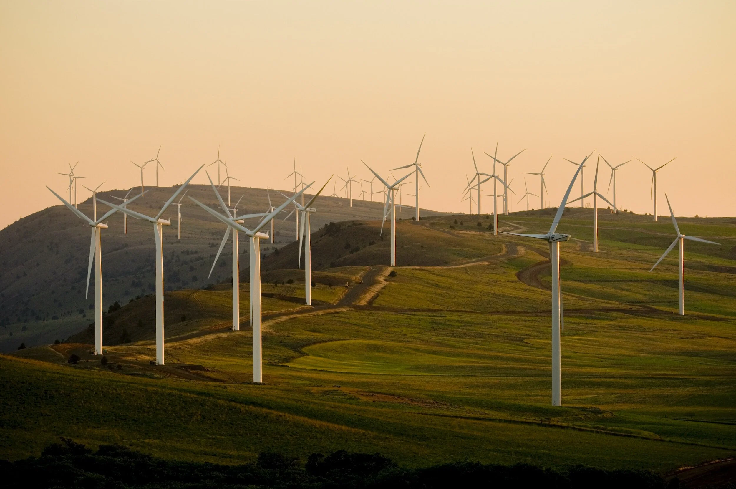 Environmental Impact