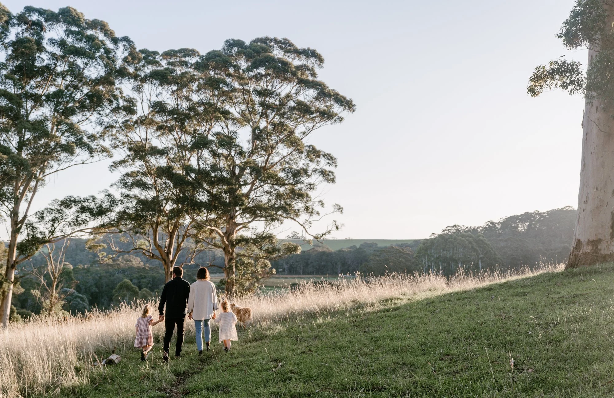 WEB-hannah puechmarin-upland for CS-7.jpg