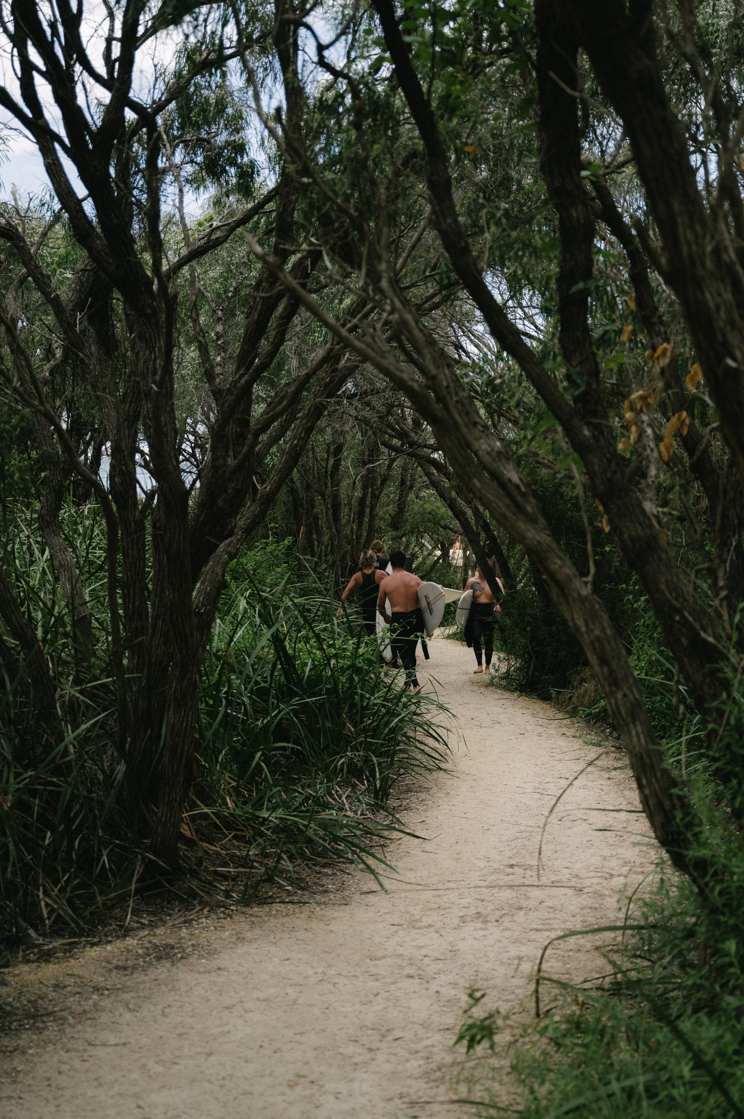 Surfers walking along a coastal path near Denmark WA heading to the beach