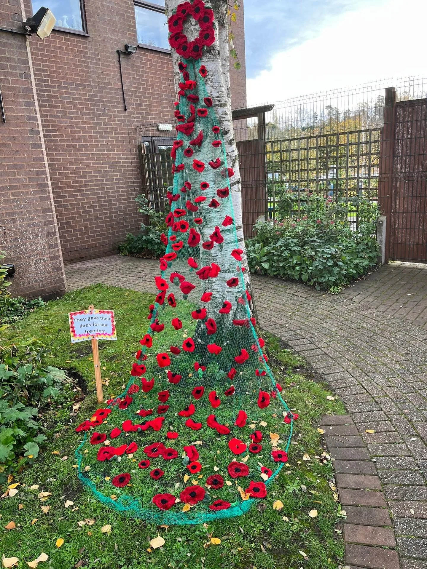 Kingsway Church is preparing for Remembrance Sunday! 👏

Some of the lovely ladies who meet on Tuesday mornings in our Coffee Lounge have created a beautiful poppy display for us❤️🌺

Why not pop by this Thursday morning to see it for yourself?

Enjo